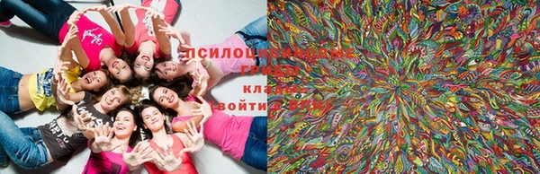наркотики Киреевск