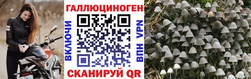 Галлюциногенные грибы Cubensis  Купить где  Первомайск 